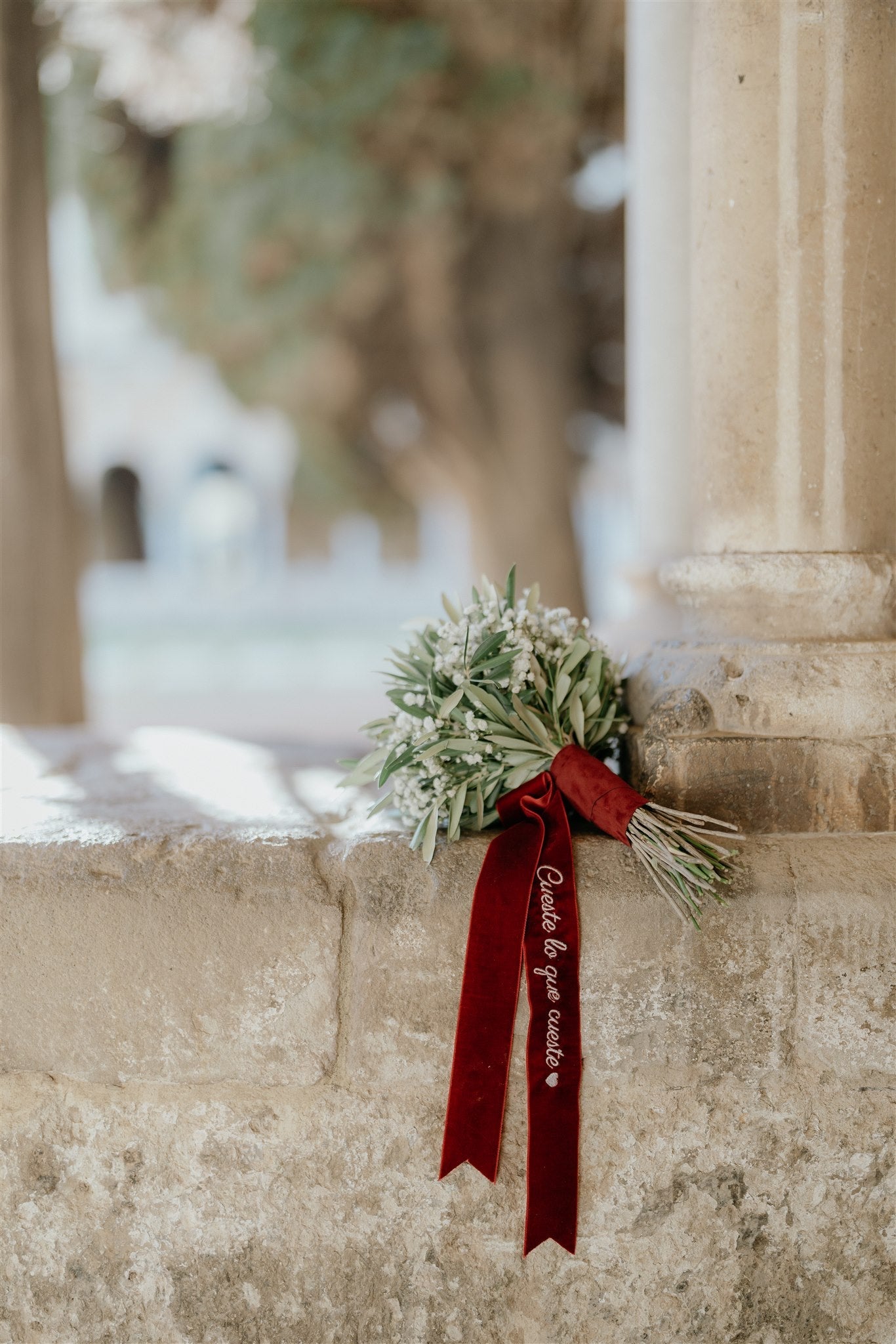 Lazo terciopelo bordado - color